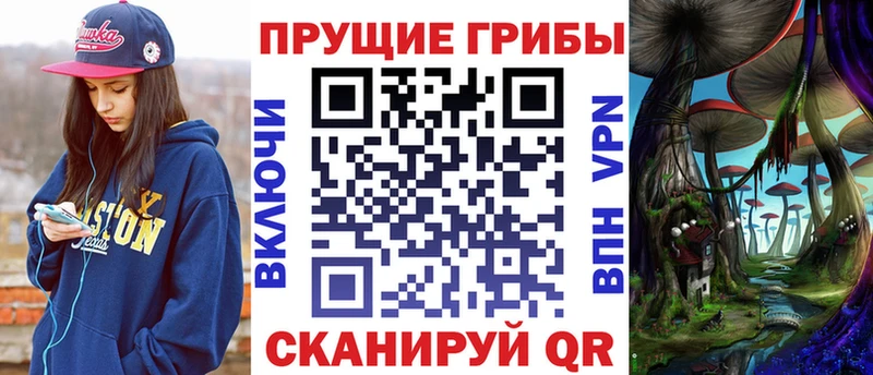 MEGA ССЫЛКА  Спас-Клепики  Галлюциногенные грибы Psilocybe 
